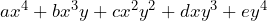 ax^4+bx^3y+cx^2y^2+dxy^3+ey^4